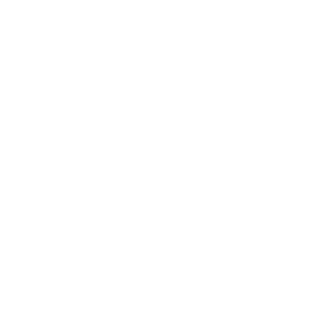 Cisco Partner