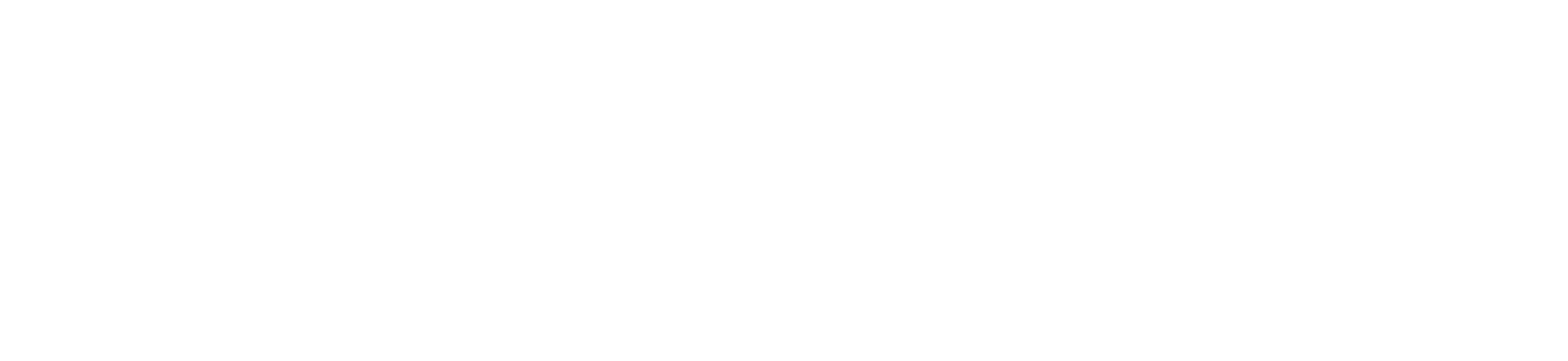 DataHubz wordmark